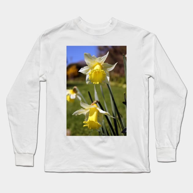 Speckled Daffodils Long Sleeve T-Shirt by pinkal